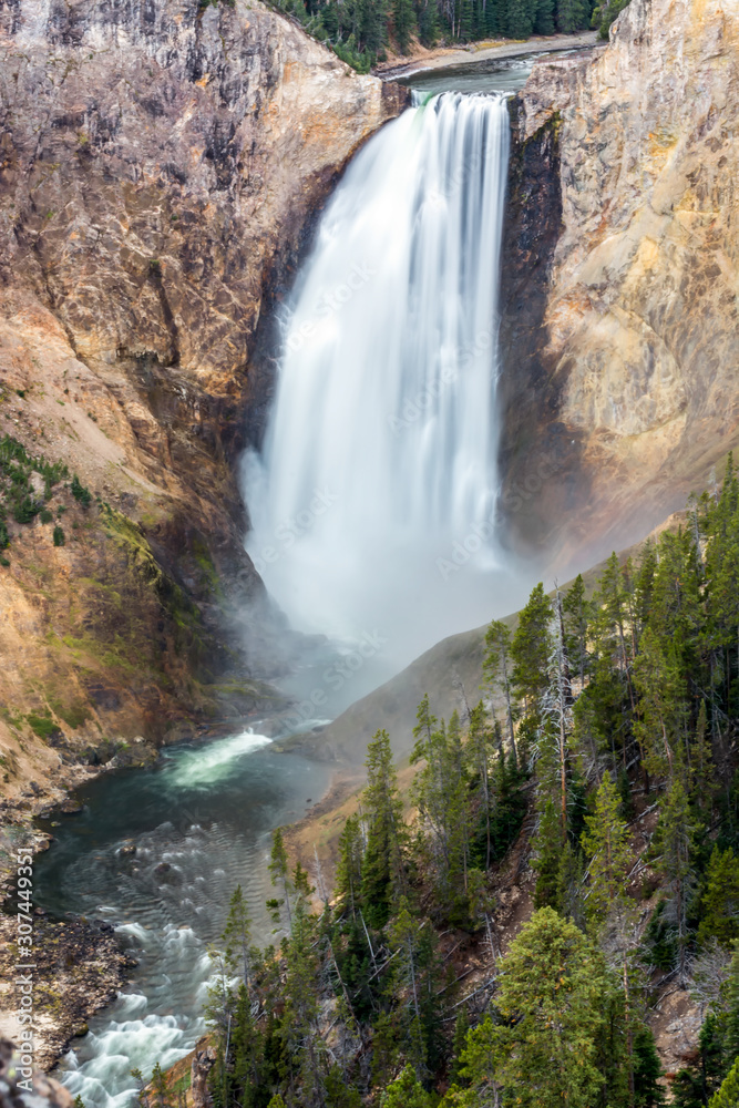 Obraz premium Lower Yellowstone Falls