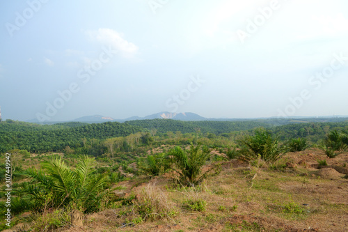 A landscape captured from a hill. There are trees, plants, mountain and blue sky on the background. © mgphotostock