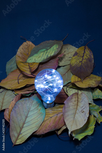 christmas decorations, grilandes, father christmas, lighting