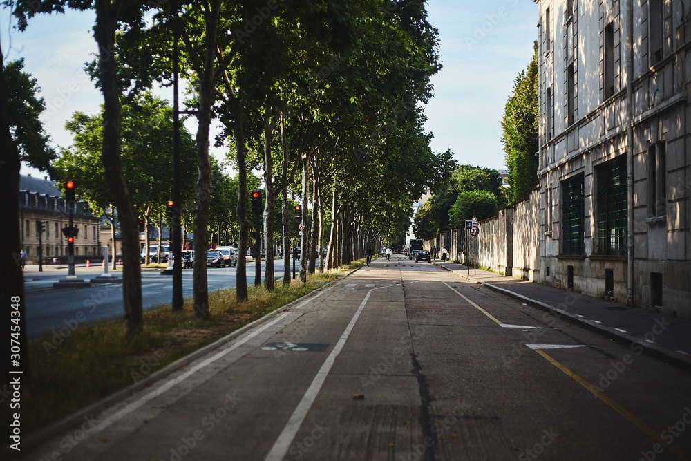 Green street of Paris with sunlight in the middle of day Green street of Paris with sunlight in the middle of day