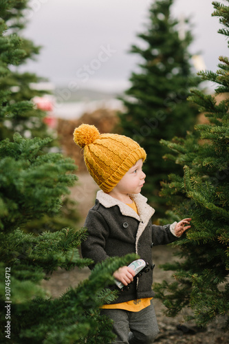 Toddler Boy Looking at Christmas Trees photo