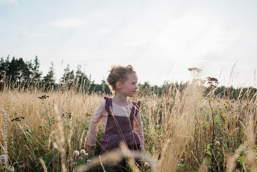 portrait of a young girl sitting in a meadow at sunset in summer portrait of a young girl sitting in a meadow at sunset in summer