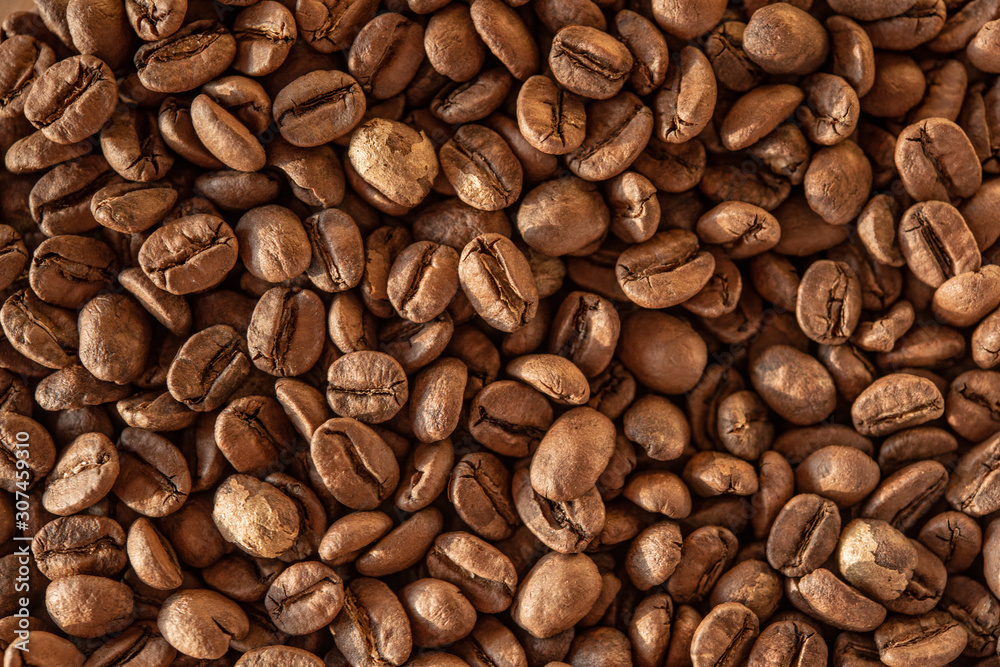 Grains of the best coffee produced in Brasil Grains of the best coffee produced in Brasil