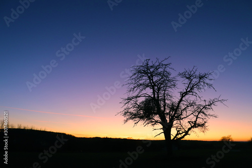 Fototapeta Naklejka Na Ścianę i Meble -  Idyllic sunset