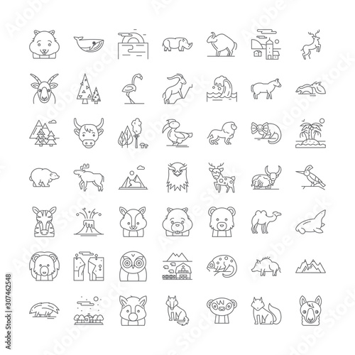 Photography Wild animals line icons, signs, symbols vector, linear illustration set