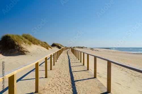 Path along the Aveiro dune and close to the ocean