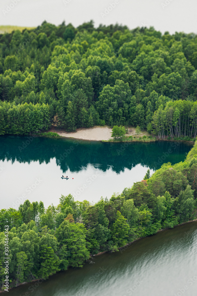Forest at lake, aerial view