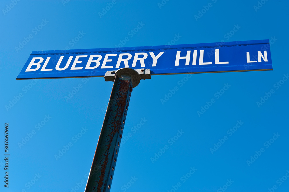 Fototapeta premium Blueberry Hil lSign