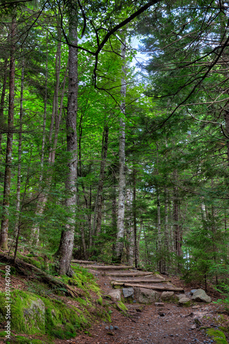 Wallpaper Mural Beech Mountain Trail Acadia Torontodigital.ca