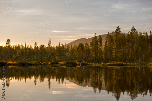 Forest reflecting in lake photo