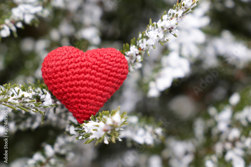 Christmas heart  red knitted symbol of love on fir branches in the snow. Background for romantic card  New Year celebration  Valentine s day or winter weather