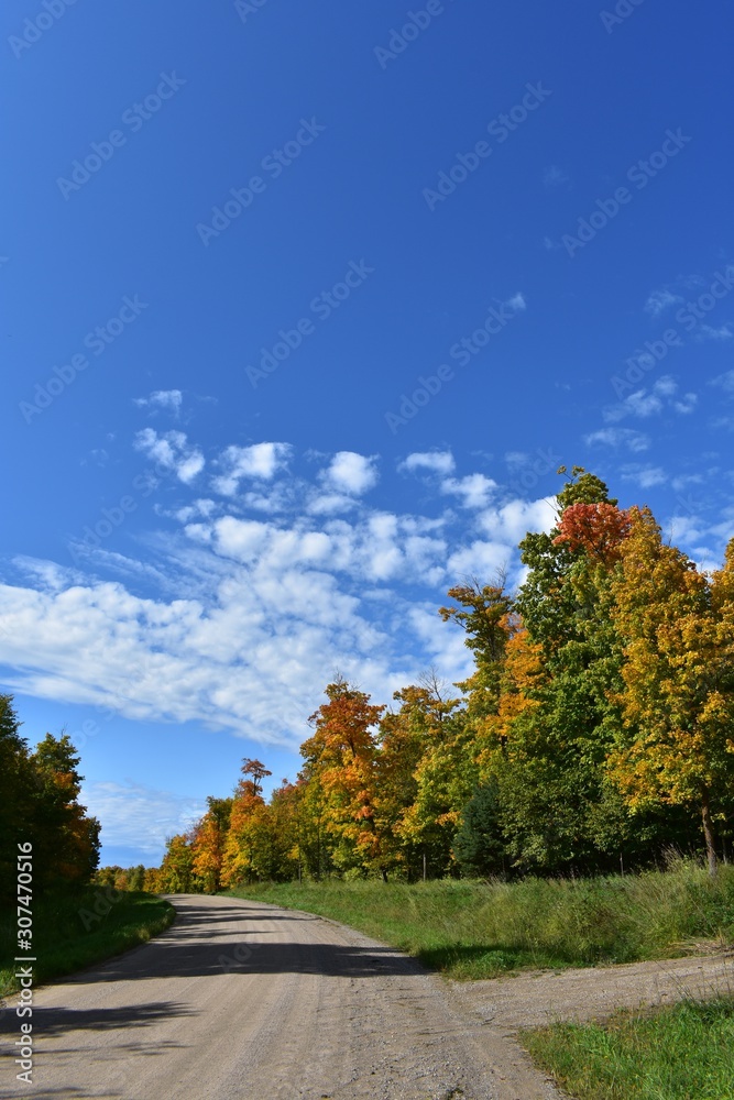 autumn colors Along a dirt road autumn colors Along a dirt road