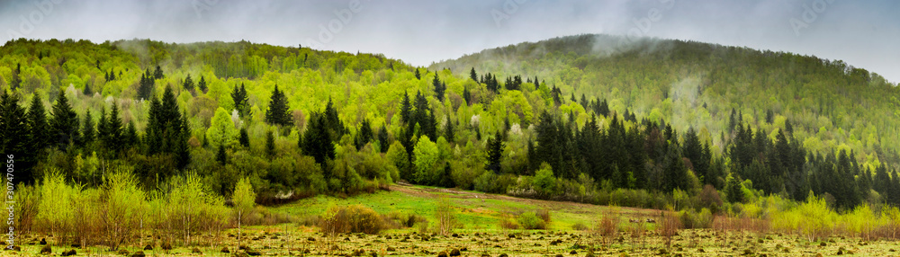 panorama of the Carpathian mountains - obrazy, fototapety, plakaty 