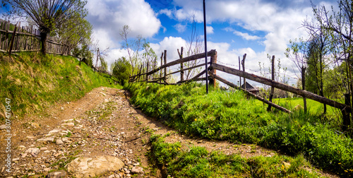Fototapeta Naklejka Na Ścianę i Meble -  a rural road in the Carpathian village