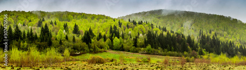 Fototapeta Naklejka Na Ścianę i Meble -  panorama of the Carpathian mountains