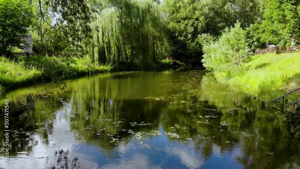 Aerial flight over a small pond surrounded by fragrant greens. Willow branches hang down. Dam is fenced with a small authentic wooden fence. Aerial shot taken by drone Aerial flight over a small pond surrounded by fragrant greens. Willow branches hang down. Dam is fenced with a small authentic wooden fence. Aerial shot taken by drone
