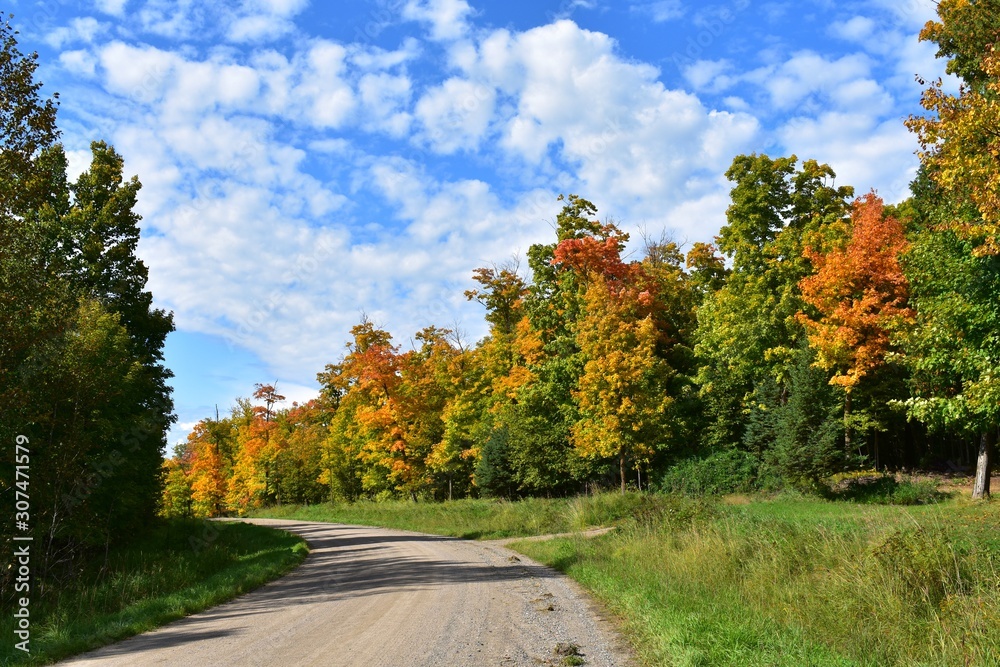 Naklejka premium autumn colors Along a dirt road