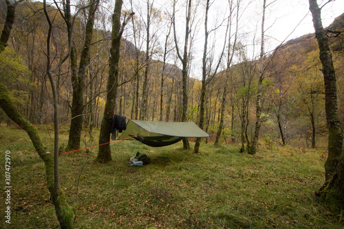 Hammock camping setup