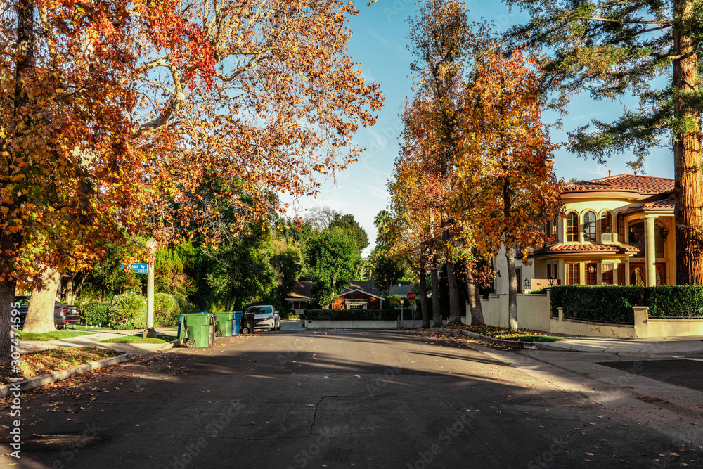 autumn on the streets of Los Angeles