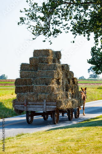 Horse Drawn Hay Wagon photo