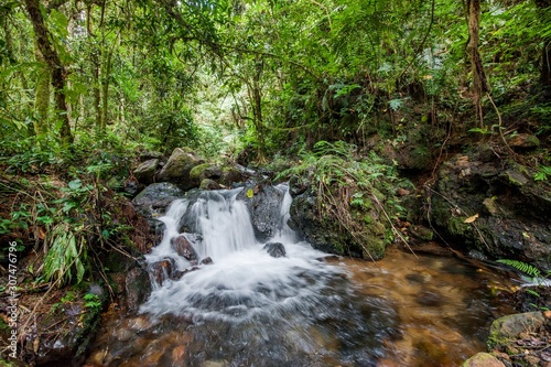 Small waterfall in the dark forest. Waterfalls and vegetation inside the Bwindi Impenetrable Forest