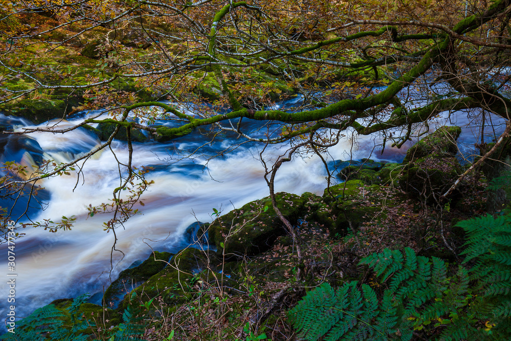 A rushing river flowing through the forest. Yorkshire. Great Britain. A rushing river flowing through the forest. Yorkshire. Great Britain.