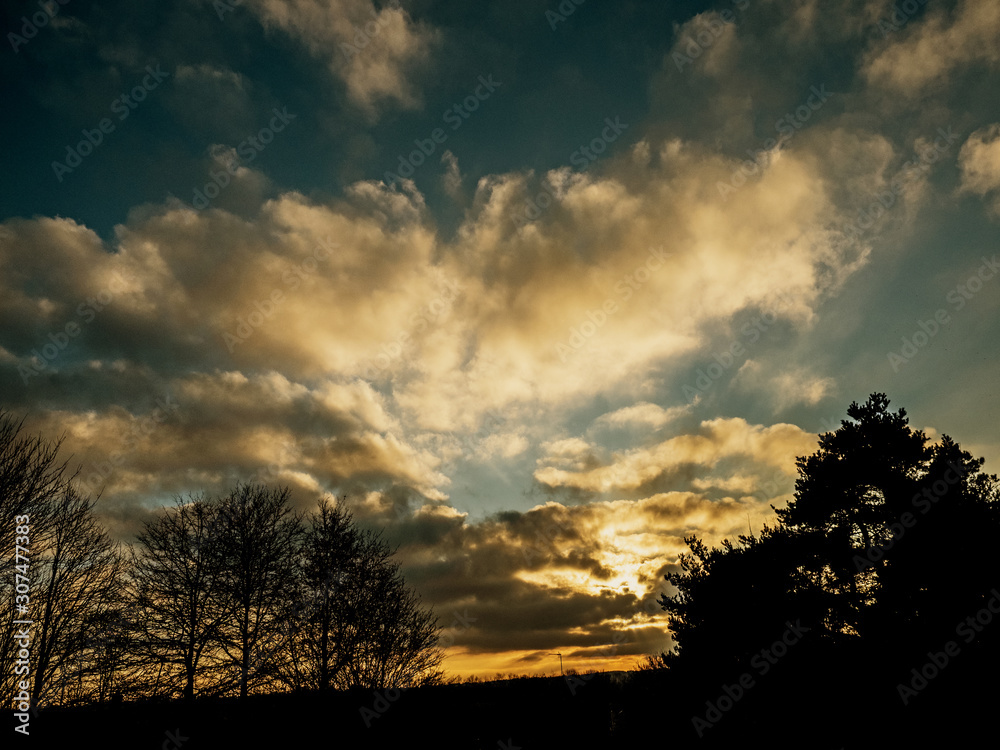 Obraz premium Evening In The Park