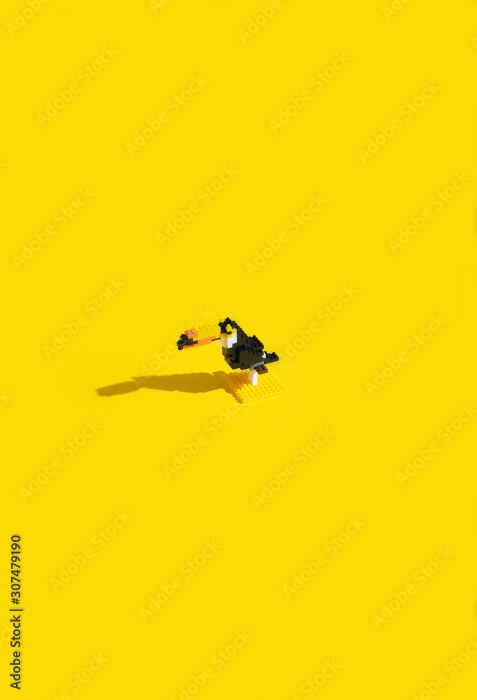Playing Blocks Bird / Toucan