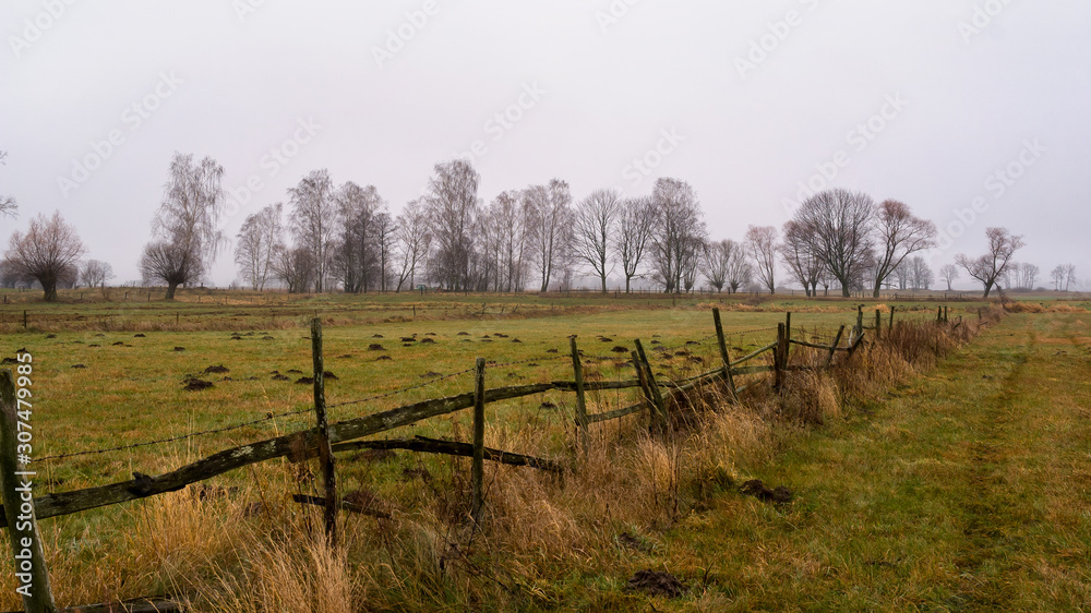 Nostalgiczny jesienny krajobraz z wierzbami, Podlaskie łąki, Jesień na Podlasiu, Polska Nostalgiczny jesienny krajobraz z wierzbami, Podlaskie łąki, Jesień na Podlasiu, Polska