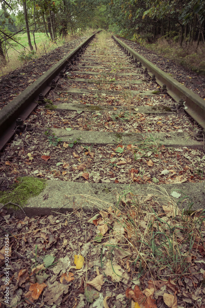 Obraz premium Alte Eisenbahnschienen