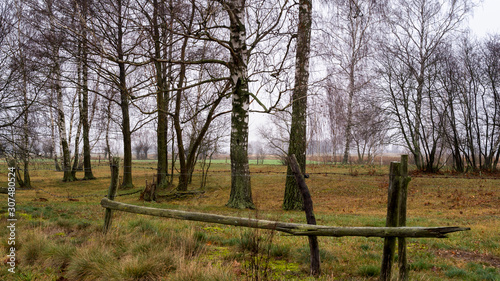 Nostalgiczny jesienny krajobraz z wierzbami, Podlaskie łąki, Jesień na Podlasiu, Polska