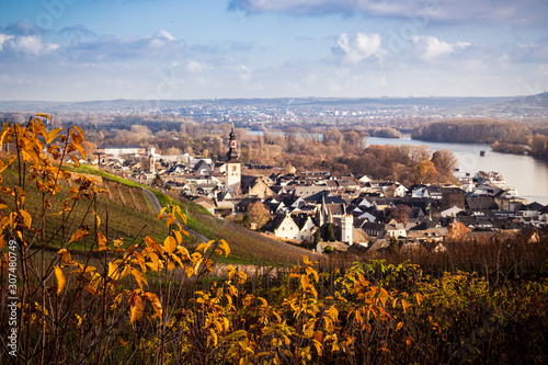 Rüdesheim im Herbst  photo