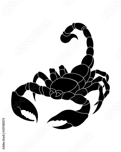 silhouette a beautiful and elegant scorpio zodiac sign vector