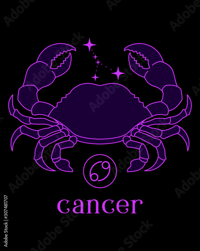 a beautiful and elegant cancer zodiac sign vector