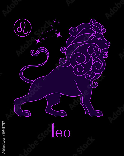 a beautiful and elegant leo zodiac sign vector