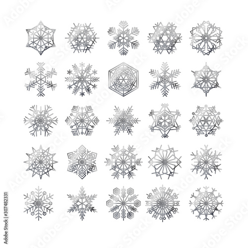 snowflake winter set of silver isolated icon silhouette on white background vector illustration