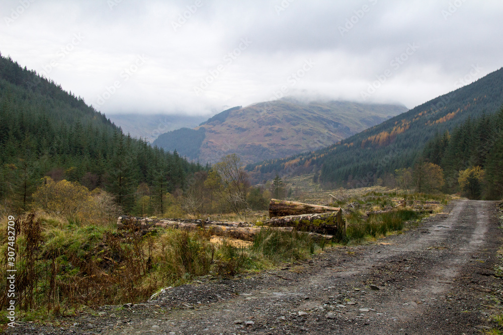 Logging, scotland