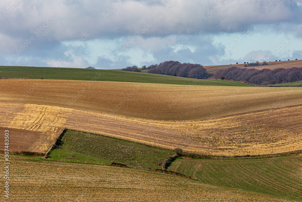 A South Downs rolling landscape on a sunny winters day
