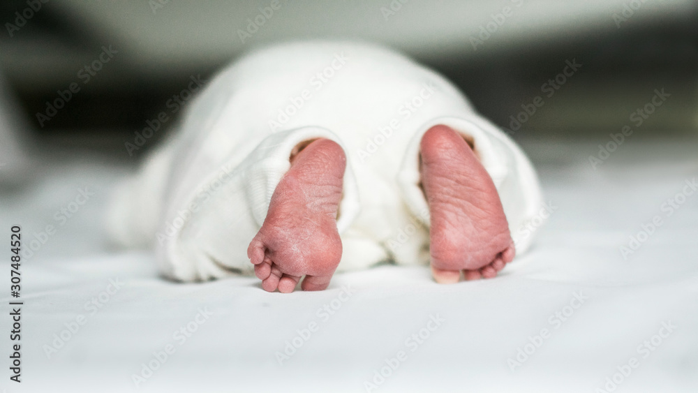 Newborn baby laying on a bed face down Newborn baby laying on a bed face down