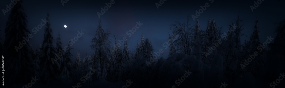 Scenic winter landscape,snowy spruce trees,fresh powder snow, mountain forest. Evening sky with moon in background. Panoramic image. Middle europe.  .