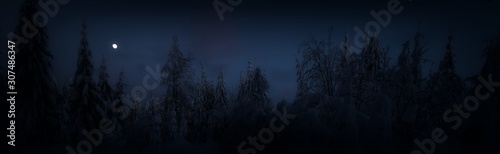 Scenic winter landscape,snowy spruce trees,fresh powder snow, mountain forest. Evening sky with moon in background. Panoramic image. Middle europe. .