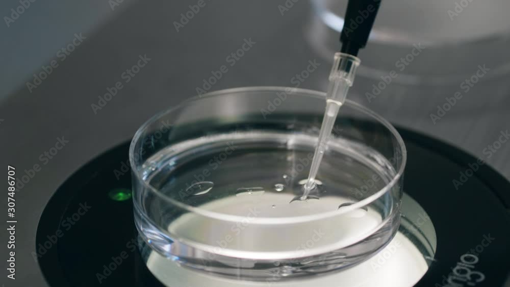 Liquid substance in a glass plate of a microscope Liquid substance in a glass plate of a microscope
