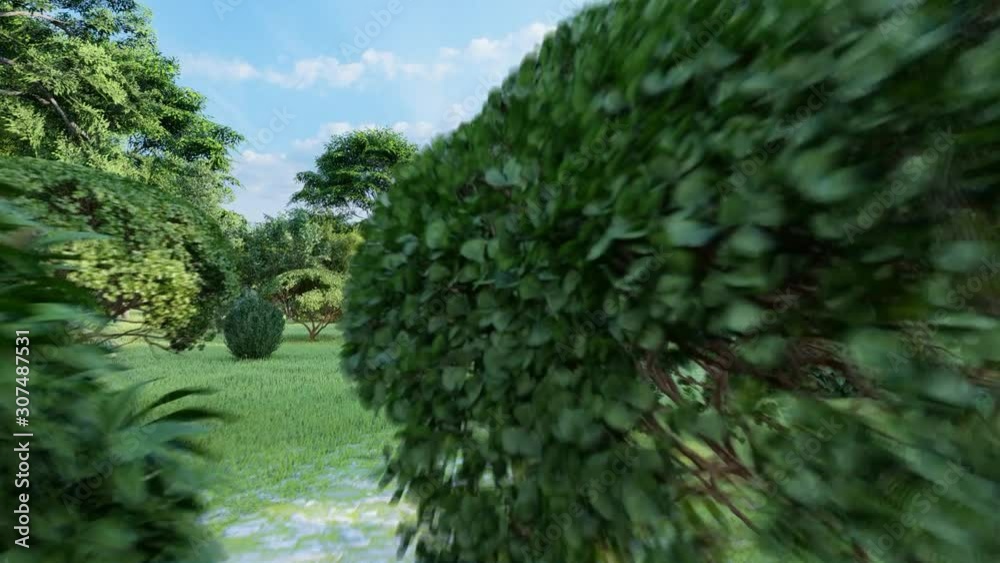 beautiful tropical plants in garden in sunlight beautiful tropical plants in garden in sunlight
