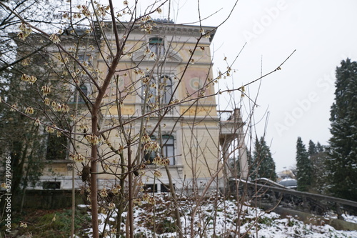 Patumbah villa in Zürich in der schweiz photo