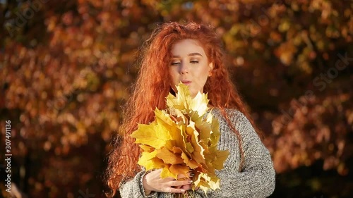 Close up amazing cute young woman with gorgeous fiery red hair with bouquet of autumn leaves stands against background of red autumn trees with blurred background