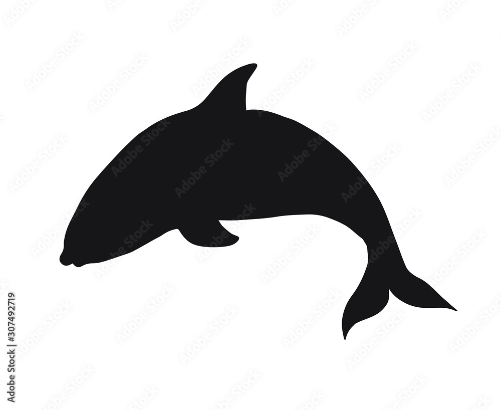 Fototapeta premium Vector black killer whale dolphin silhouette isolated on white background