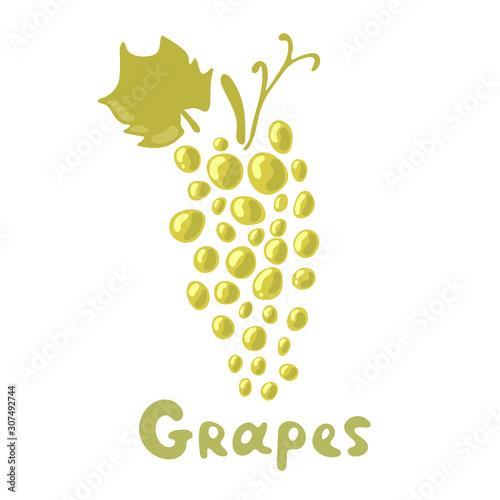 Green Grapes Illustration - stem and leaf isolated on white background. Grape cluster vector illustration in flat design.