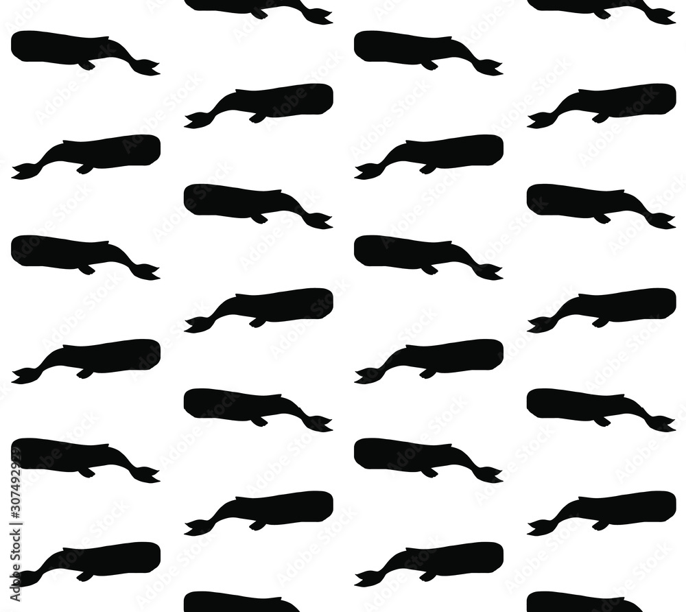 Vector seamless pattern of black sperm whale cachalot silhouette isolated on white background Vector seamless pattern of black sperm whale cachalot silhouette isolated on white background