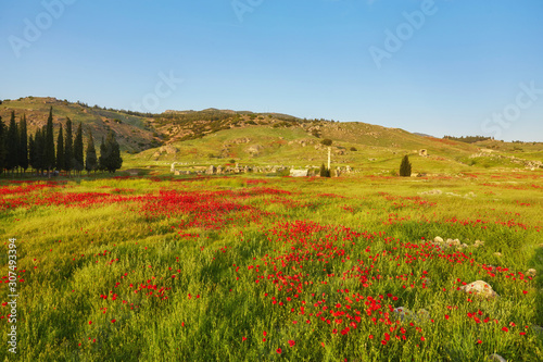 Bild auf Leinwand Ruins of the ancient city of Hierapolis and red poppies, Pamukkale