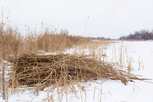 Winter, field with dry grass covered with white snow